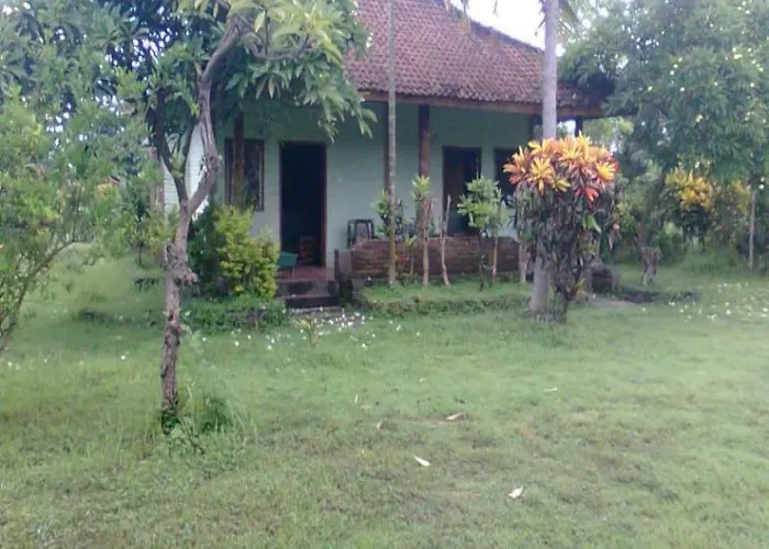 Hepi Bungalow Lovina 2* Singaraja